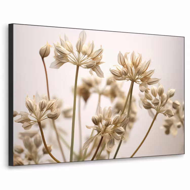 Art Frame - Droogbloemen - Beige - Wit - Planten — 1