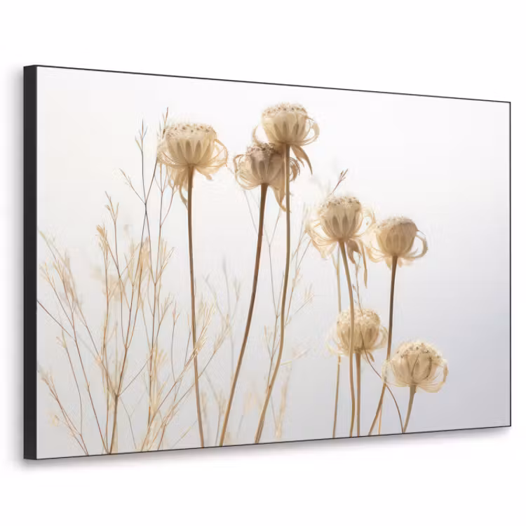 Art Frame - Droogbloemen - Natuur - Botanisch — 1