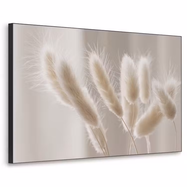 Art Frame - Pampasgras - Pluim - Wit — 1