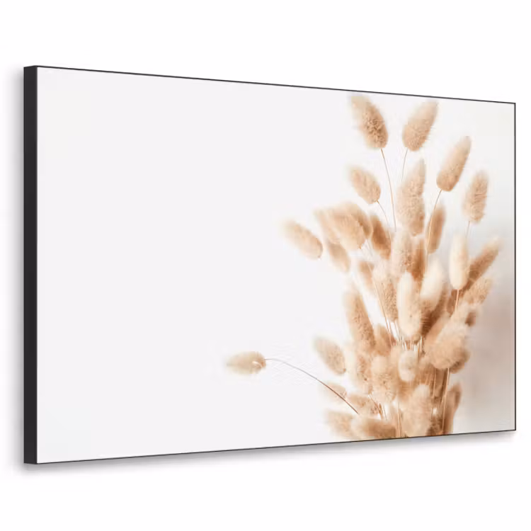 Art Frame - Pampasgras - Pluim - Wit - Beige — 1