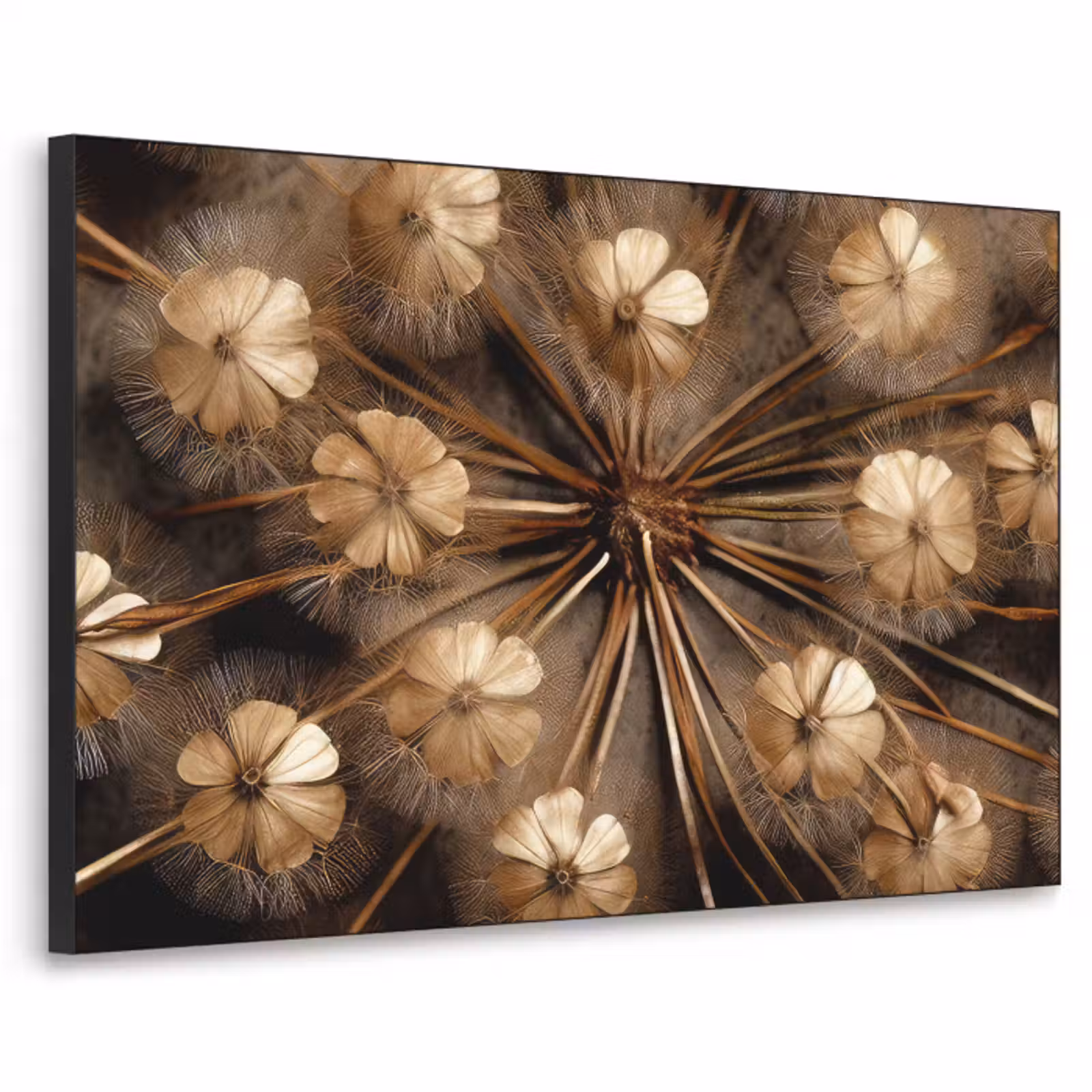 Art Frame - Droogbloemen - Bruin - Natuur — 1