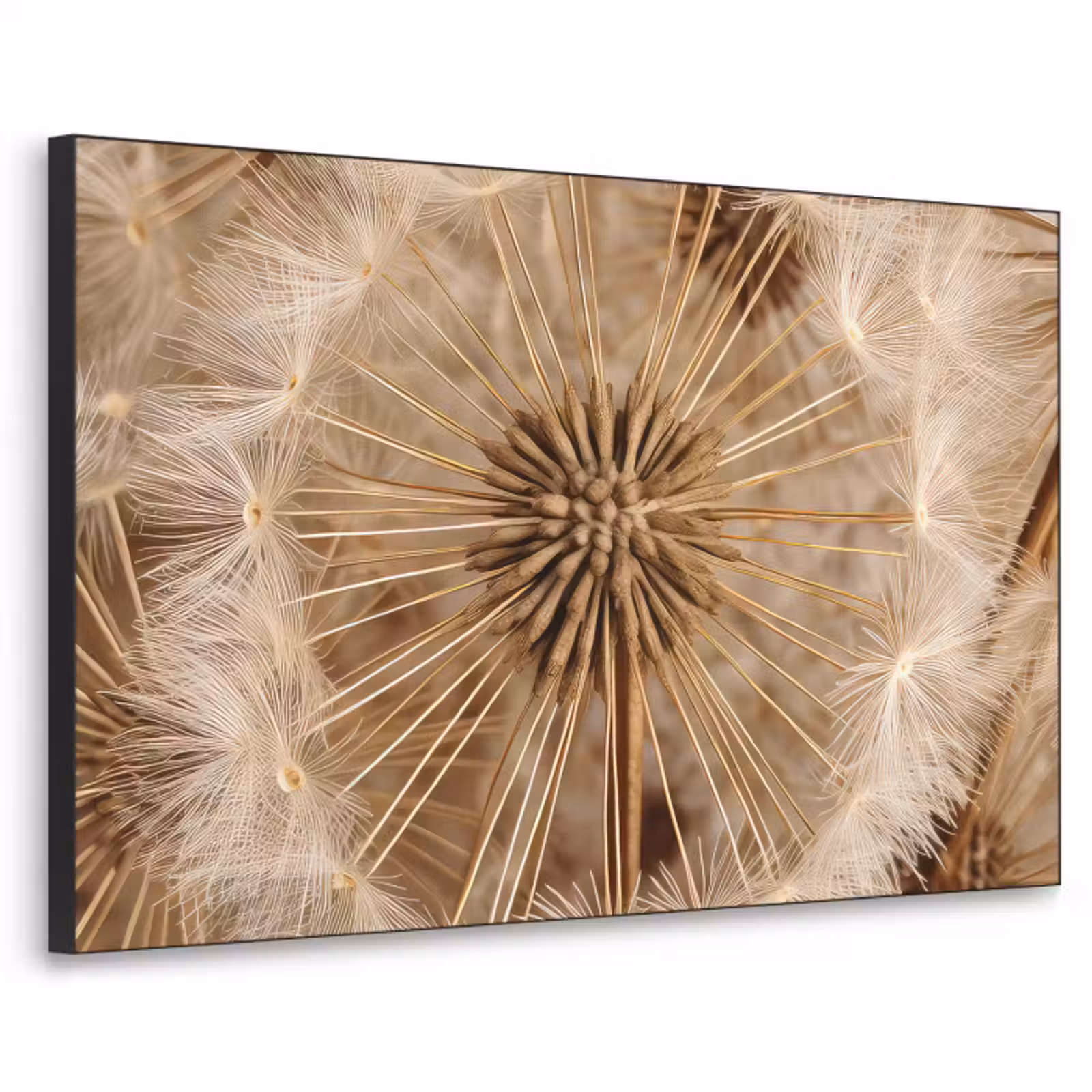 Art Frame - Paardenbloem - Bloemen - Natuur - Bruin — 1