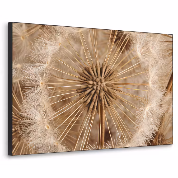 Art Frame - Paardenbloem - Bloemen - Natuur - Bruin — 1