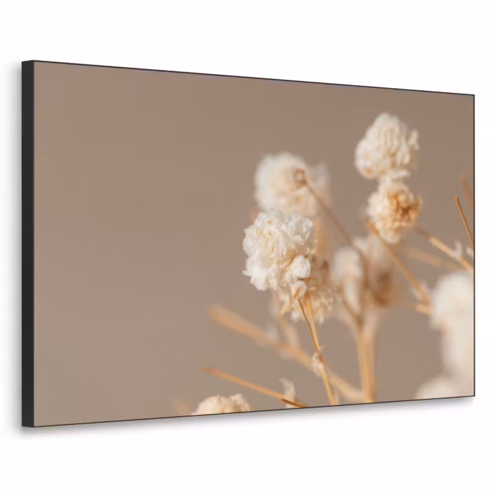 Art Frame - Bloemen - Wit - Natuur - Pastel — 1