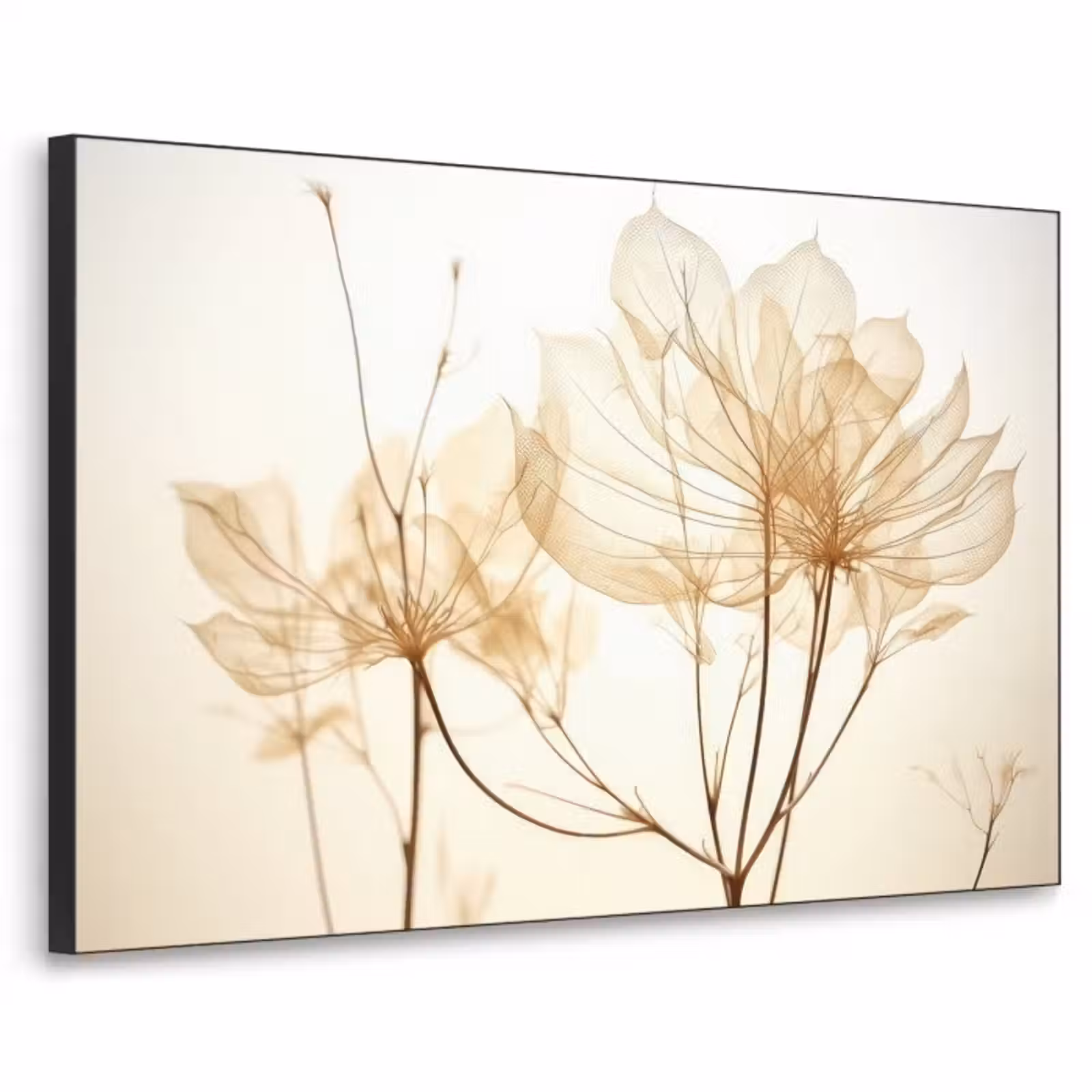 Art Frame - Droogbloemen - Beige - Planten - Wit — 1