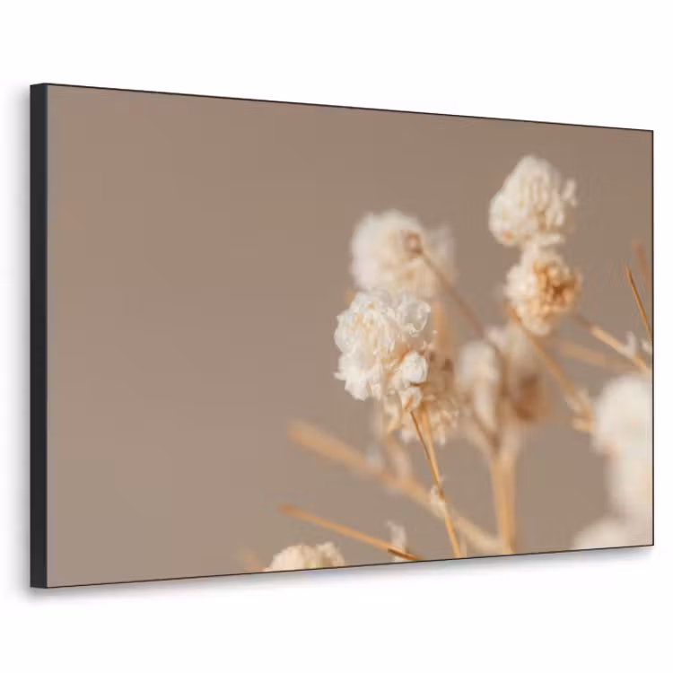 Art Frame - Bloemen - Wit - Natuur - Pastel — 1