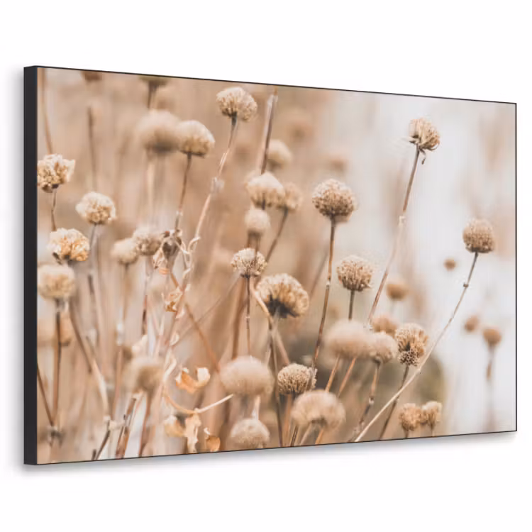 Art Frame - Droogbloemen - Beige - Bloemen - Natuur — 1