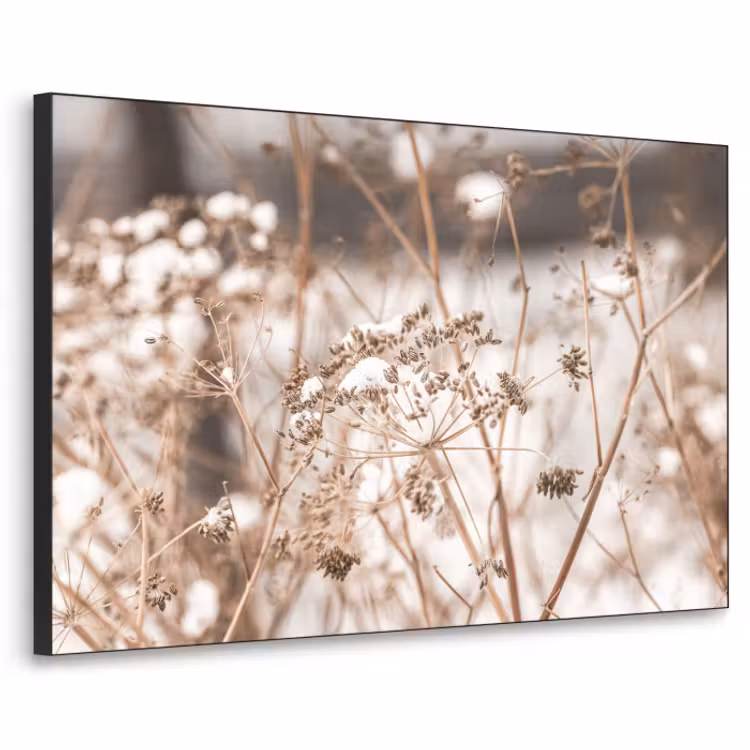 Art Frame - Droogbloemen - Wit - Planten — 1