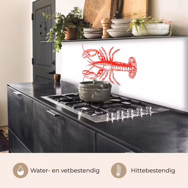 Keuken achterwand - Kreeft - Rood - Wit — 3