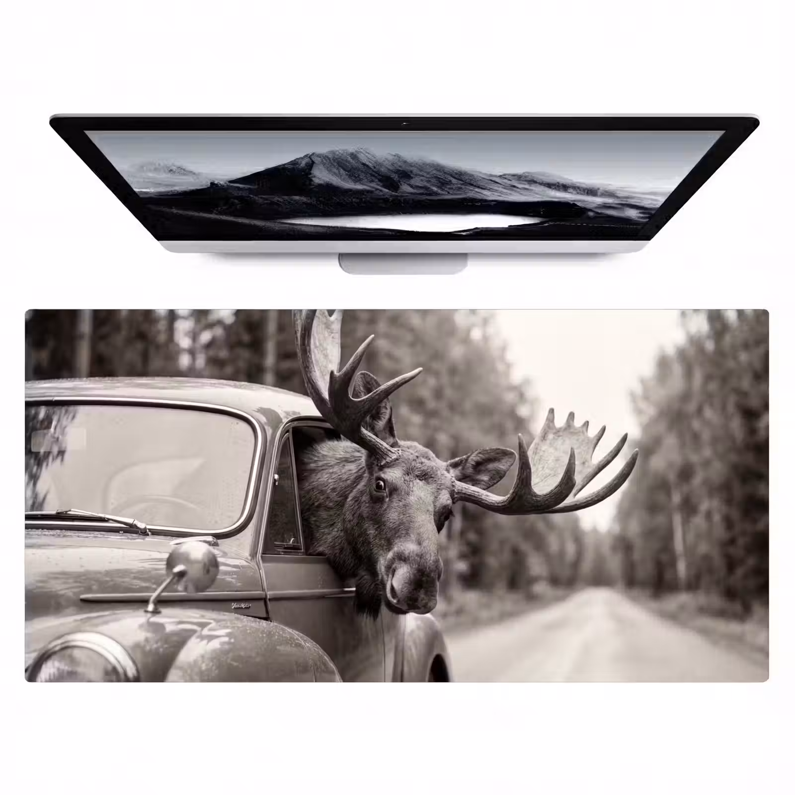 Bureau onderlegger - Eland - Auto - Gewei - Zwart - Wit — 1
