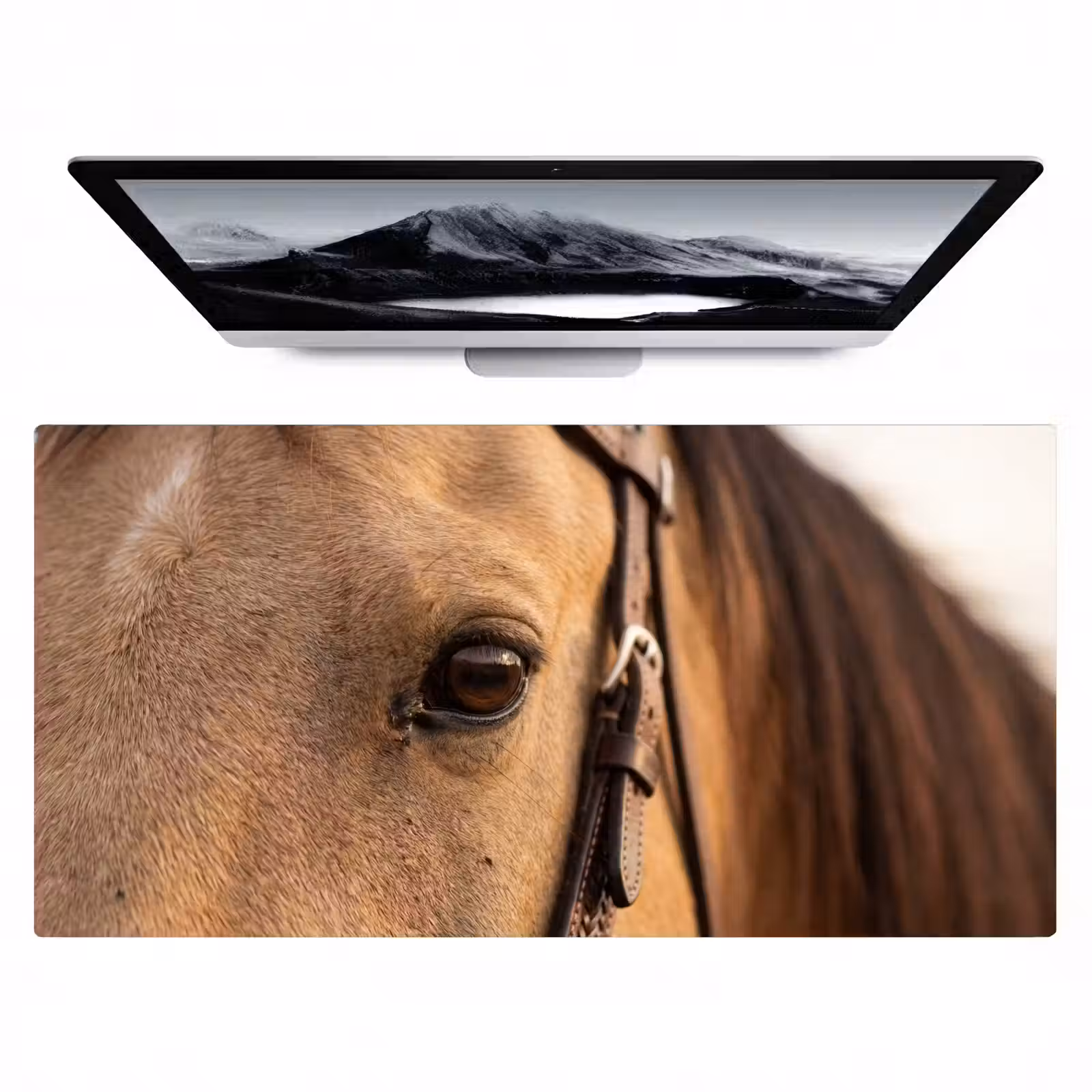 Bureau onderlegger - Paard - Oog - Bruin — 1