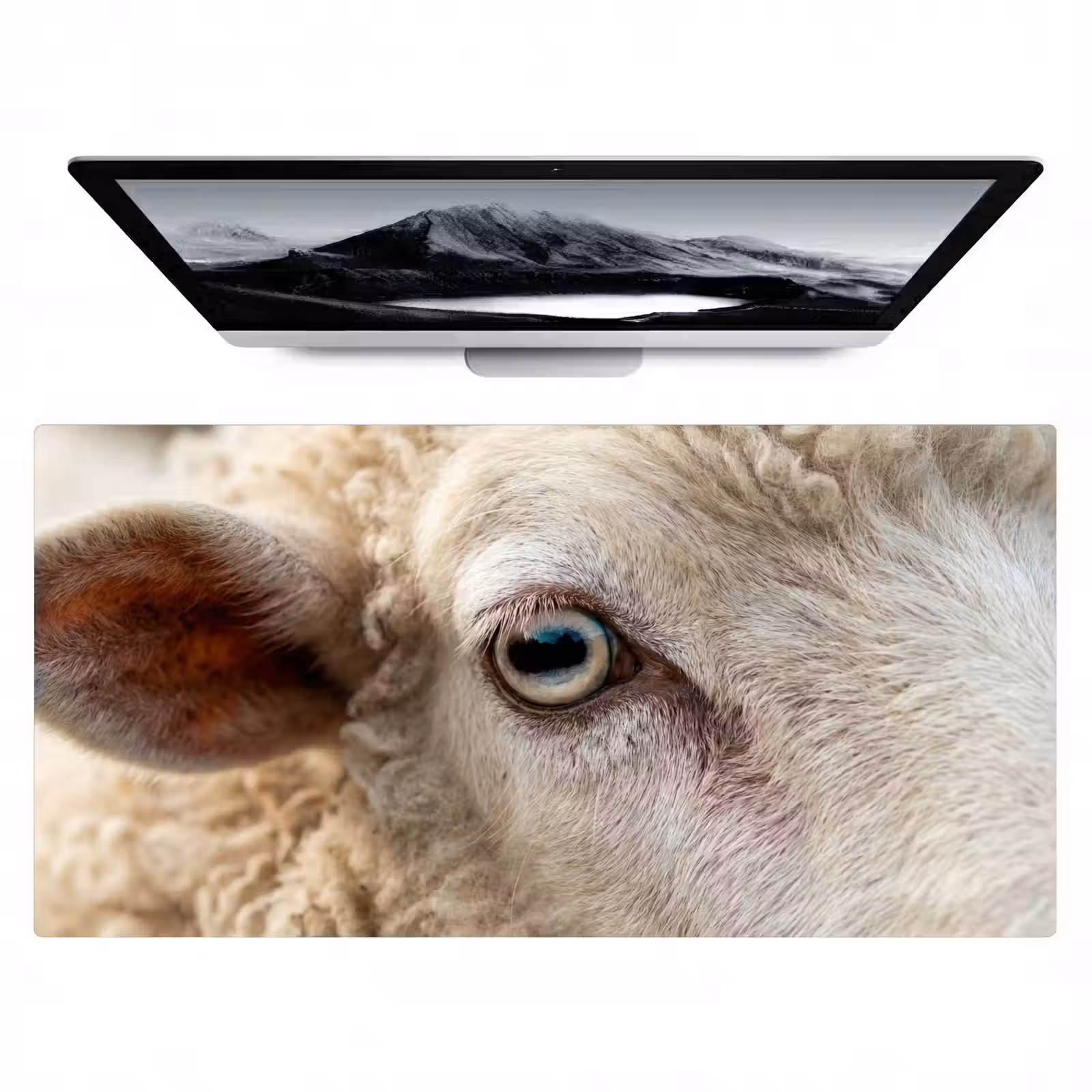Bureau onderlegger - Schaap - Oog - Wit — 1