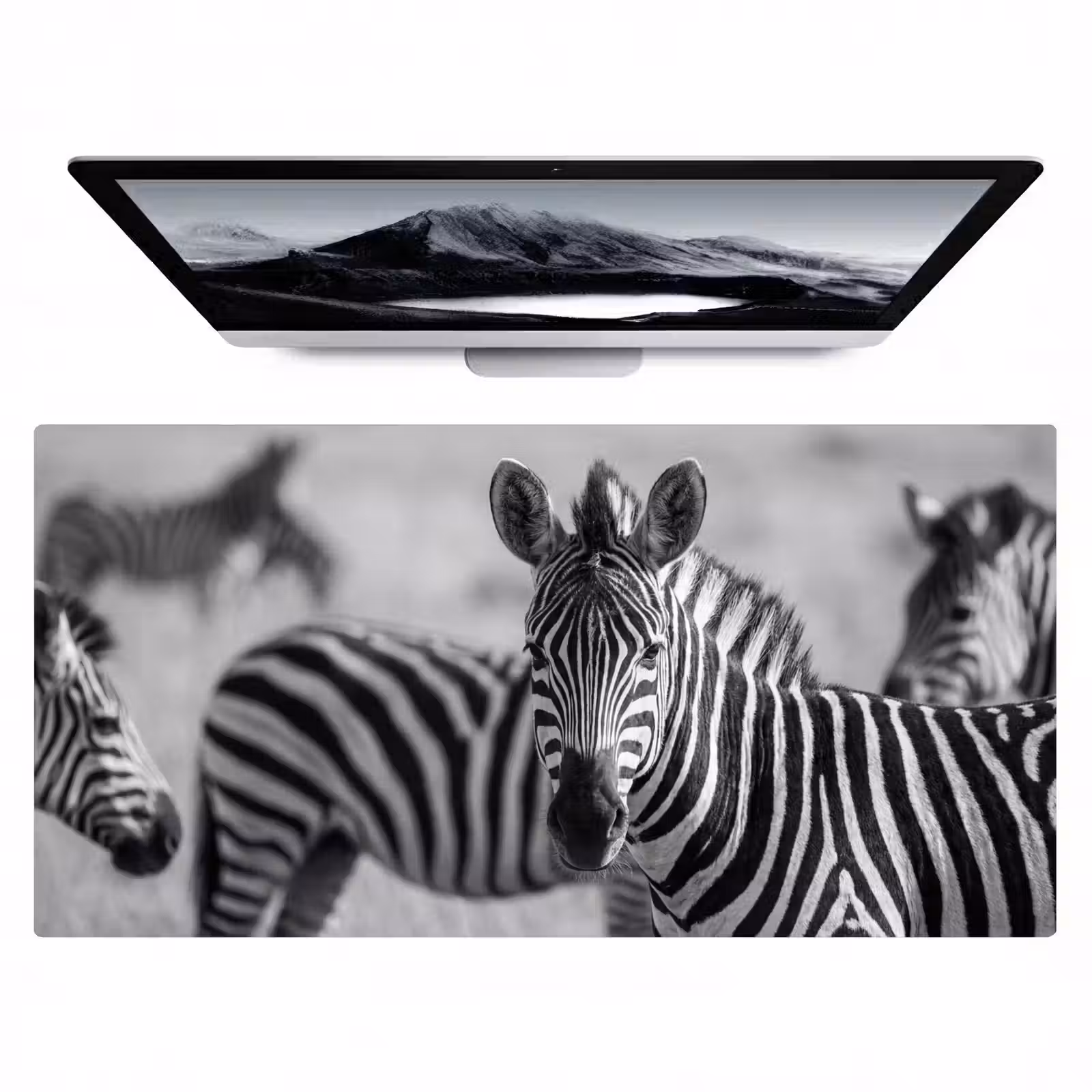 Bureau onderlegger - Zebra's - Zwart - Wit — 1