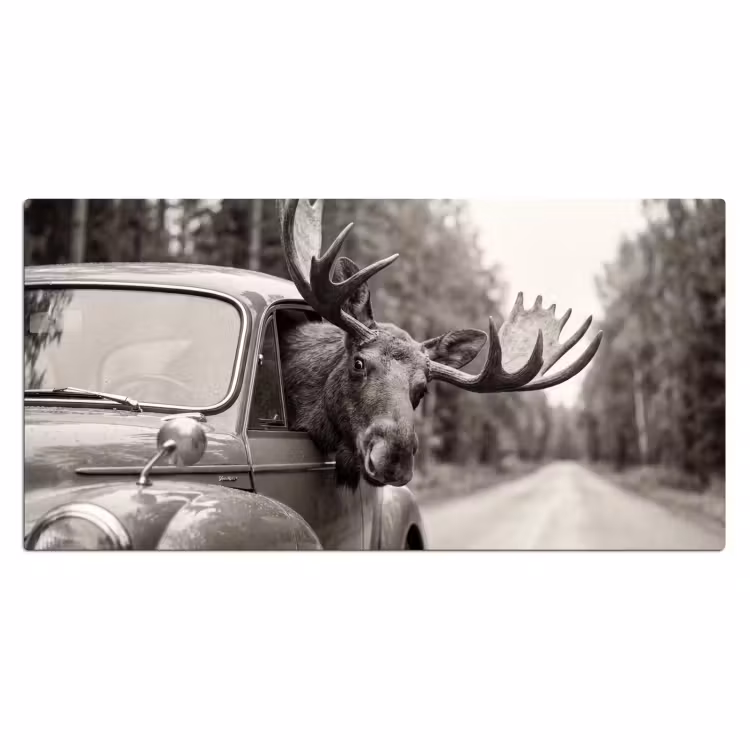 Bureau onderlegger - Eland - Auto - Gewei - Zwart - Wit — 2