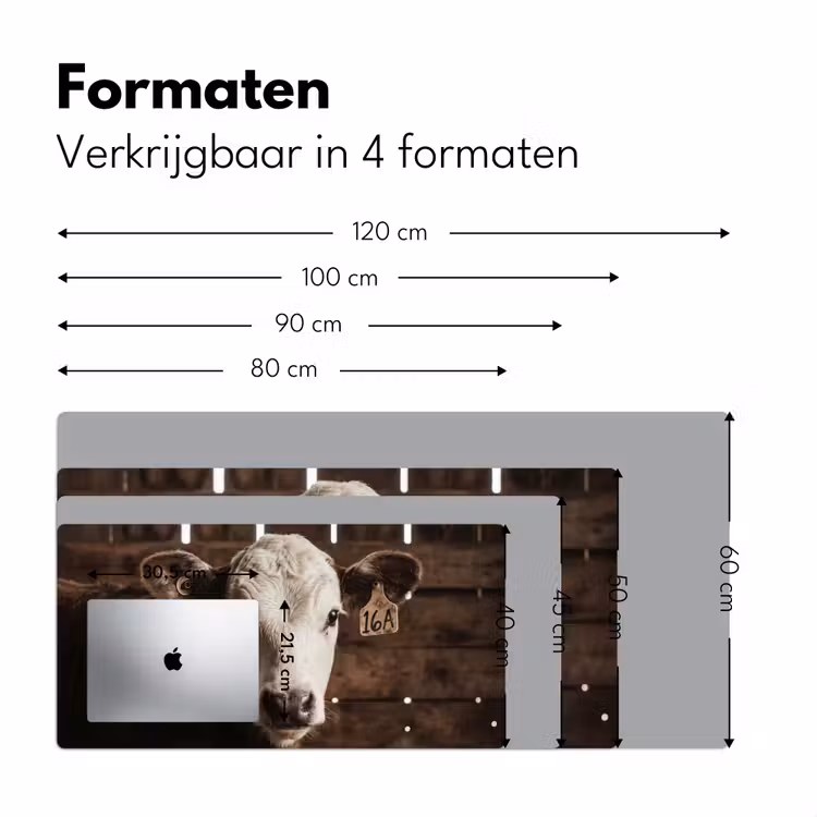 Bureau onderlegger - Kalf - Oormerk - Houten stal — 8