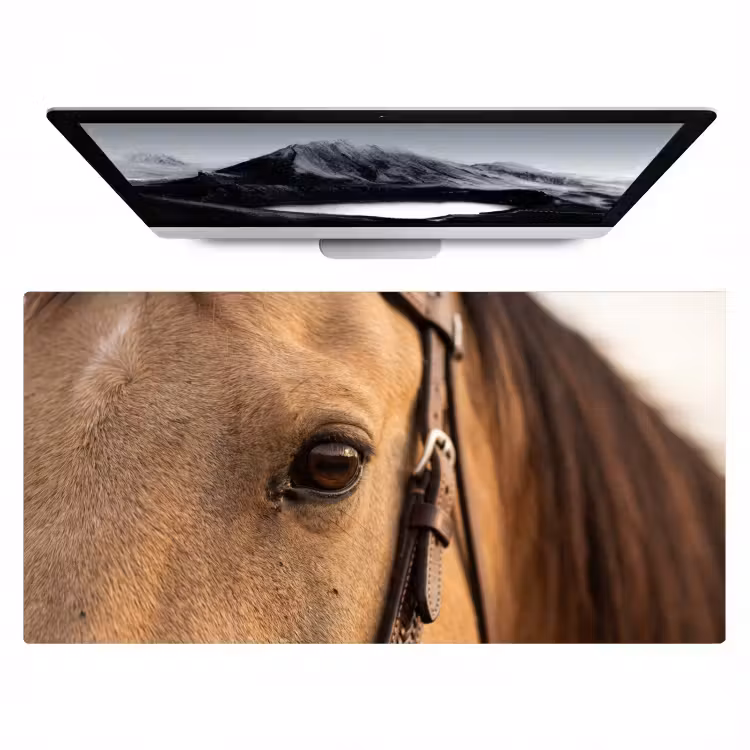 Bureau onderlegger - Paard - Oog - Bruin — 1