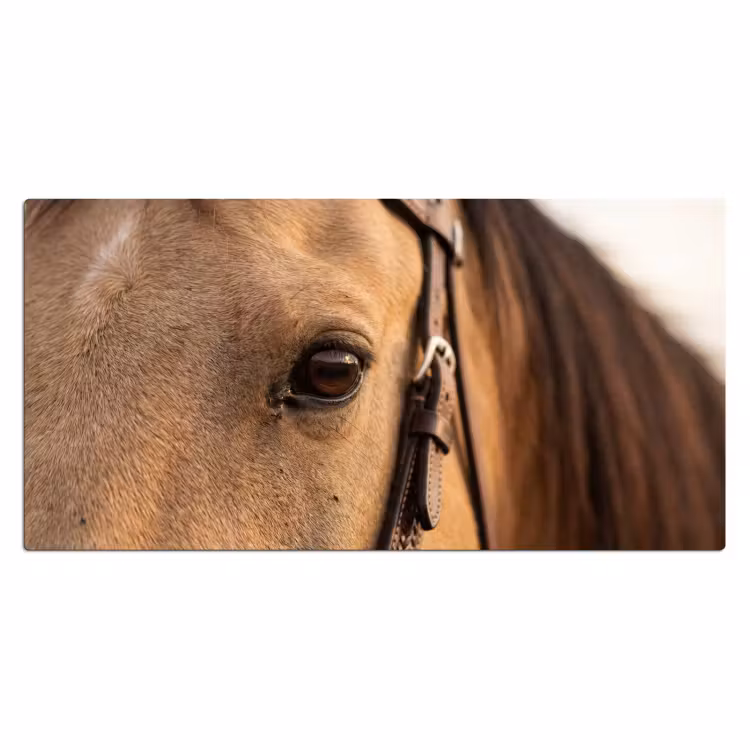 Bureau onderlegger - Paard - Oog - Bruin — 2