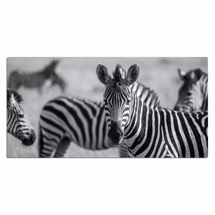 Bureau onderlegger - Zebra's - Zwart - Wit — 2