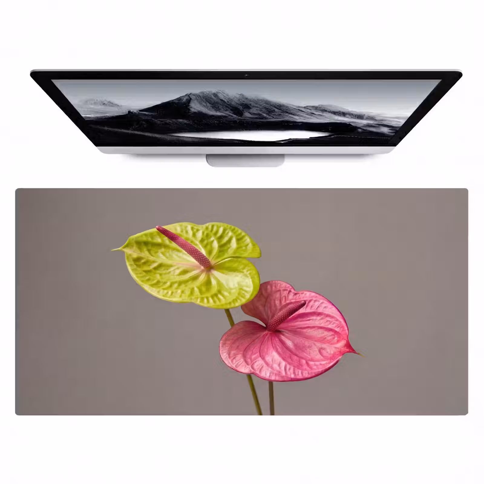 Bureau onderlegger - Planten - Anthurium - Groen - Roze — 1