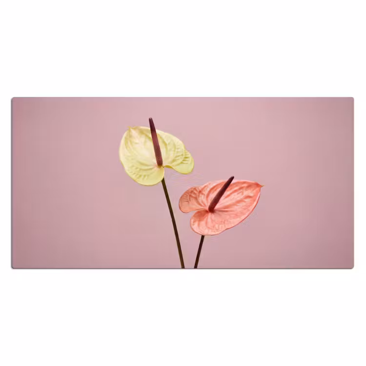 Bureau onderlegger - Bloemen - Anthuriums - Geel - Roze — 2