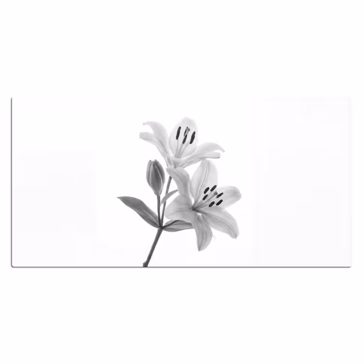 Bureau onderlegger - Lelies - Elegant - Zwart - Wit — 2