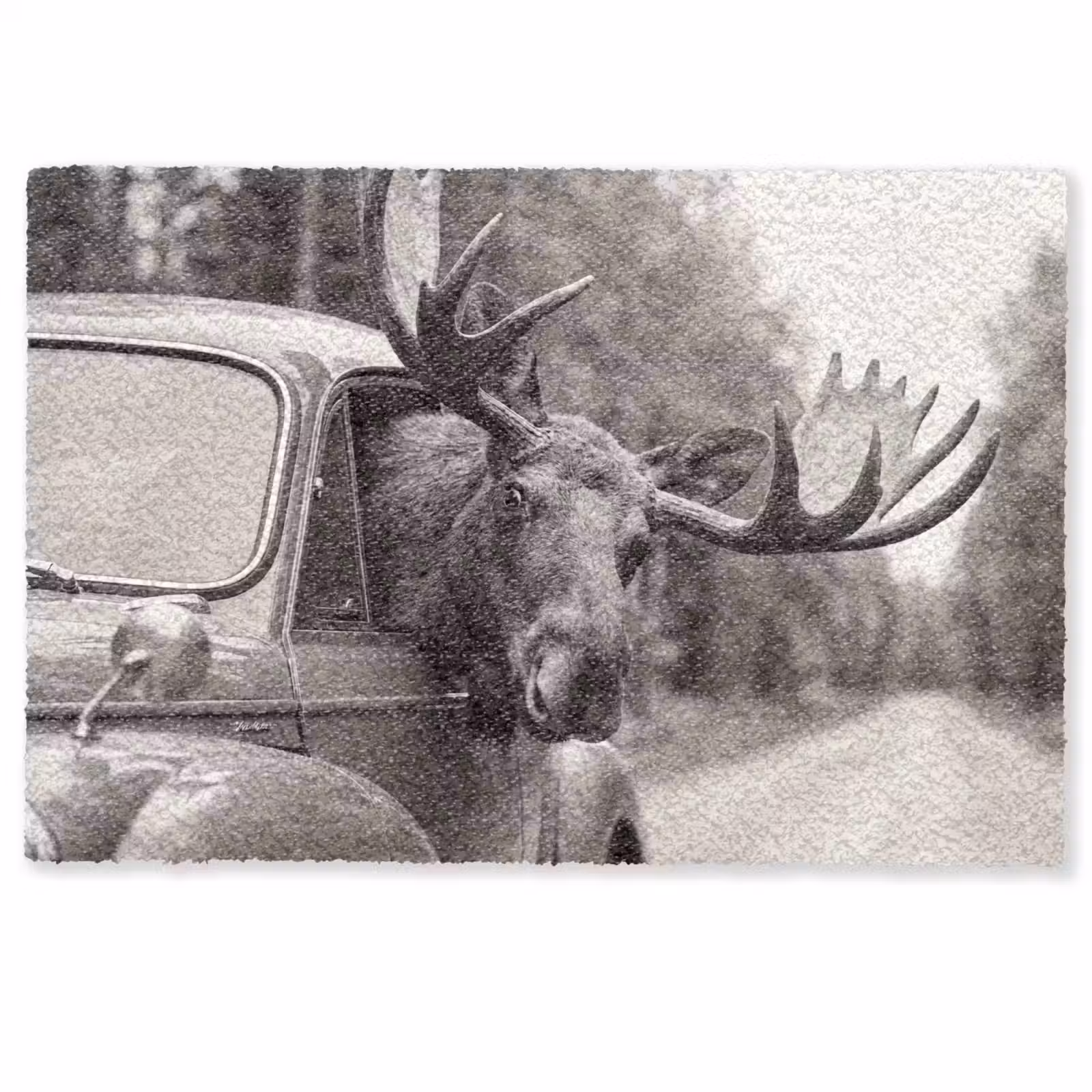 Deurmat - Eland - Auto - Gewei - Zwart - Wit — 1