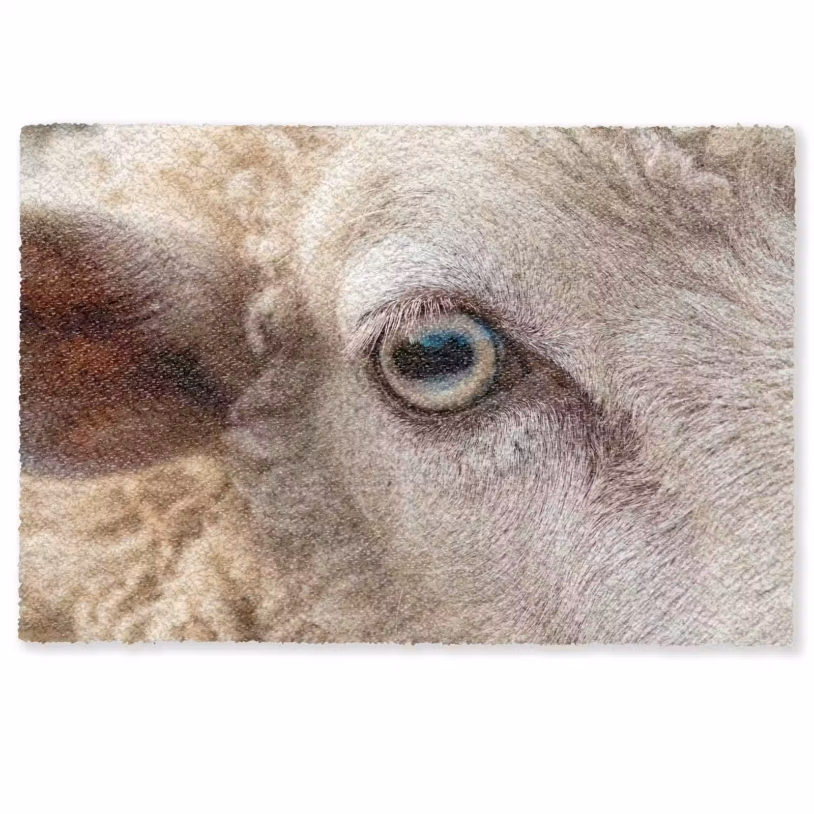 Deurmat - Schaap - Oog - Wit — 1