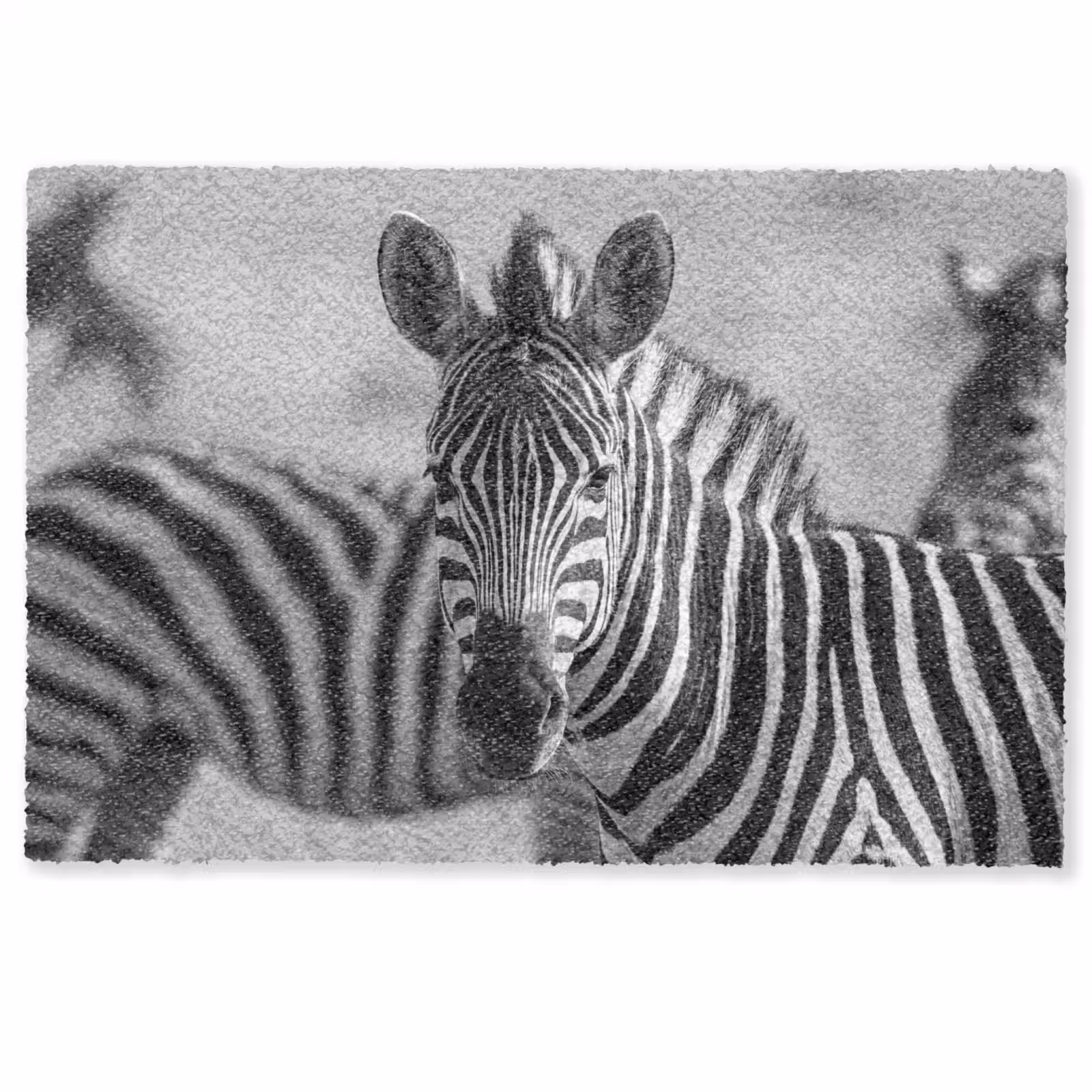 Deurmat - Zebra's - Zwart - Wit — 1