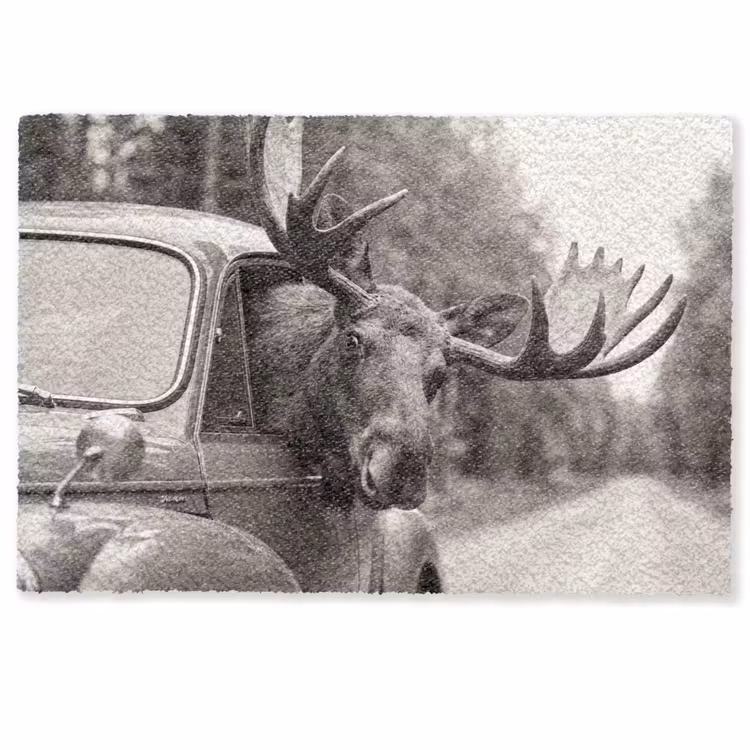 Deurmat - Eland - Auto - Gewei - Zwart - Wit — 1