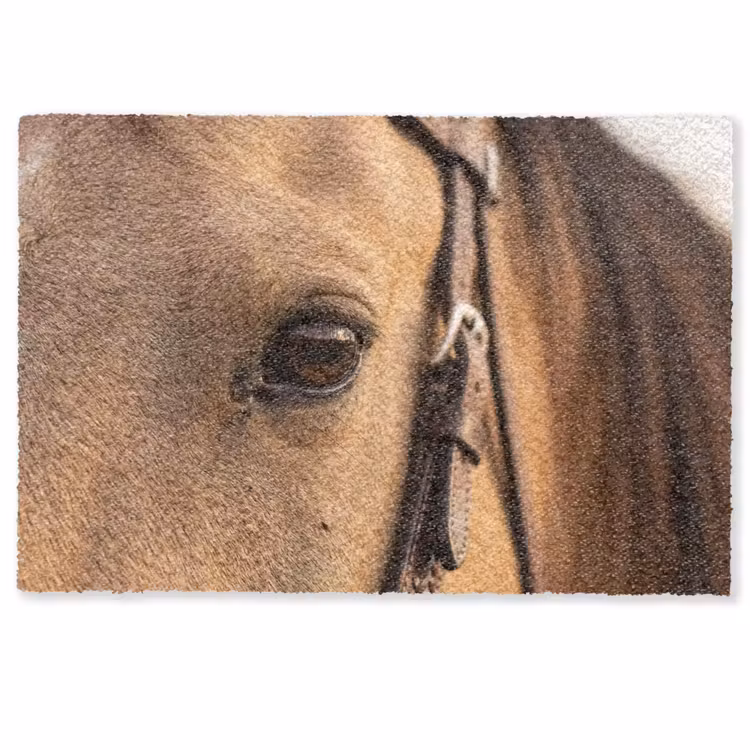 Deurmat - Paard - Oog - Bruin — 1