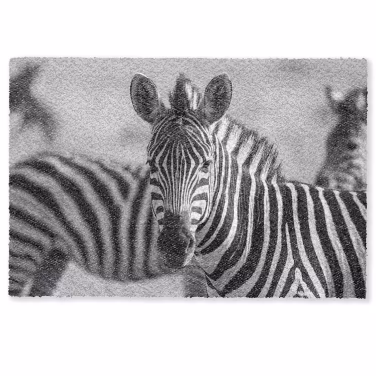 Deurmat - Zebra's - Zwart - Wit — 1