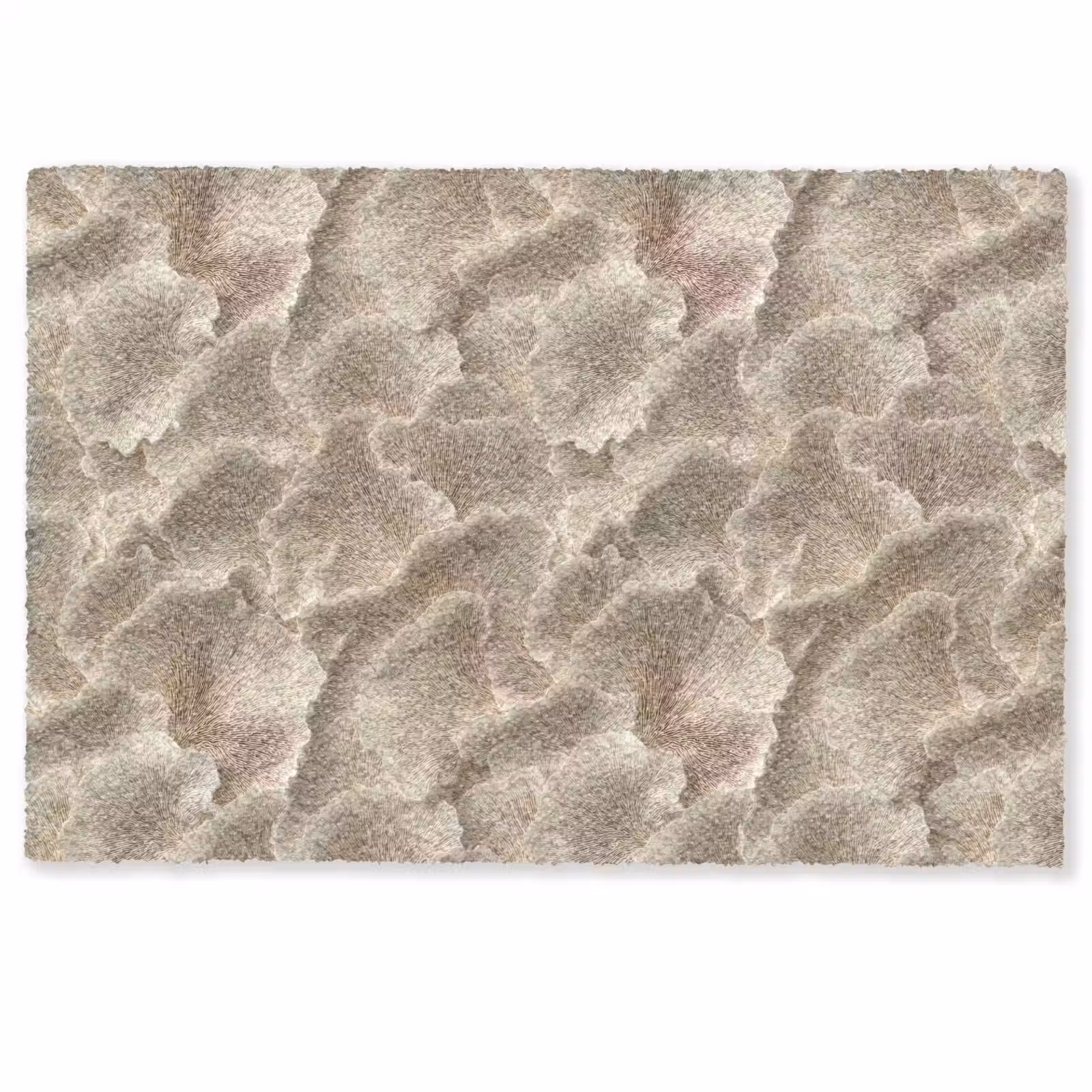 Deurmat - Waaierstructuren - Beige - Vezeltextuur — 1