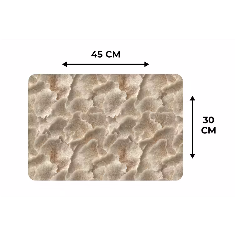 Placemat - 6 stuks - Waaierstructuren - Beige - Vezeltextuur — 3