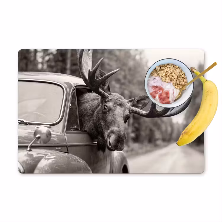 Placemat - 6 stuks - Eland - Auto - Gewei - Zwart - Wit — 1
