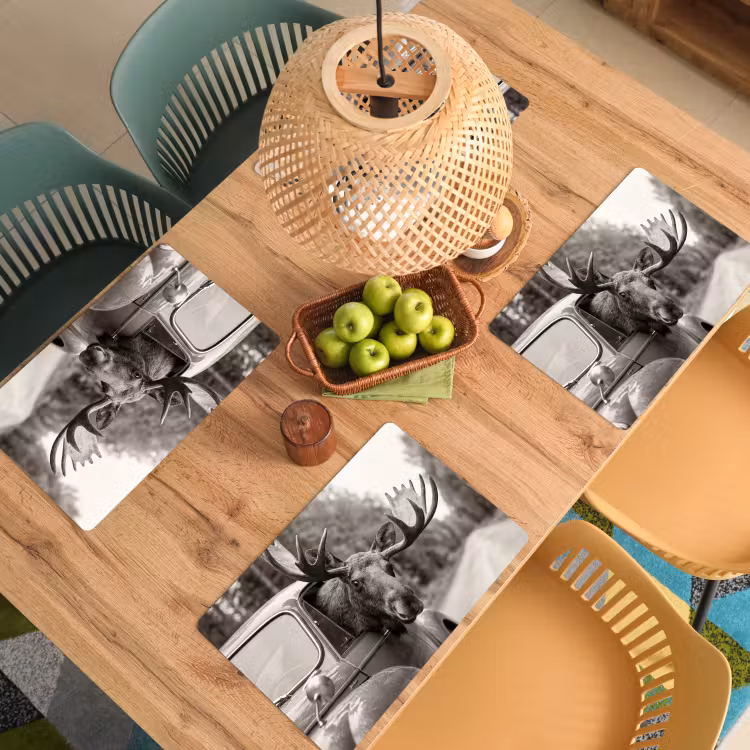 Placemat - 6 stuks - Eland - Auto - Gewei - Zwart - Wit — 6