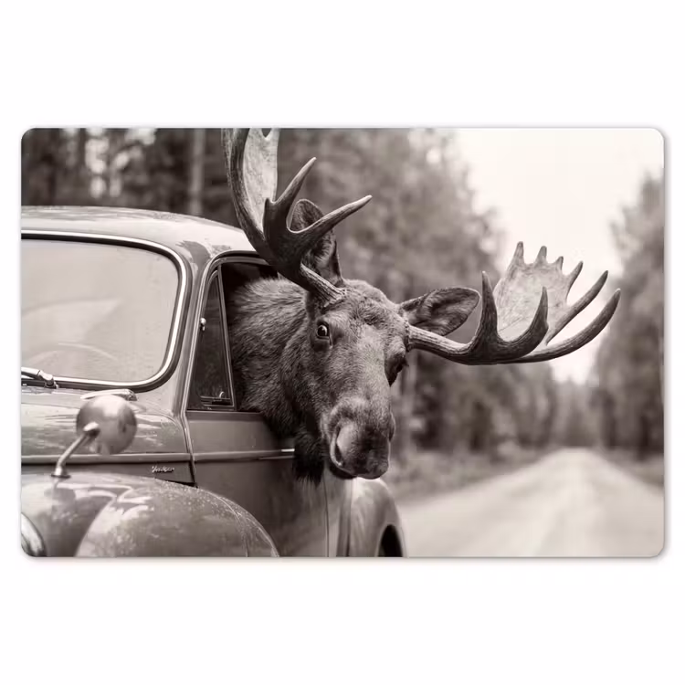 Placemat - 6 stuks - Eland - Auto - Gewei - Zwart - Wit — 7