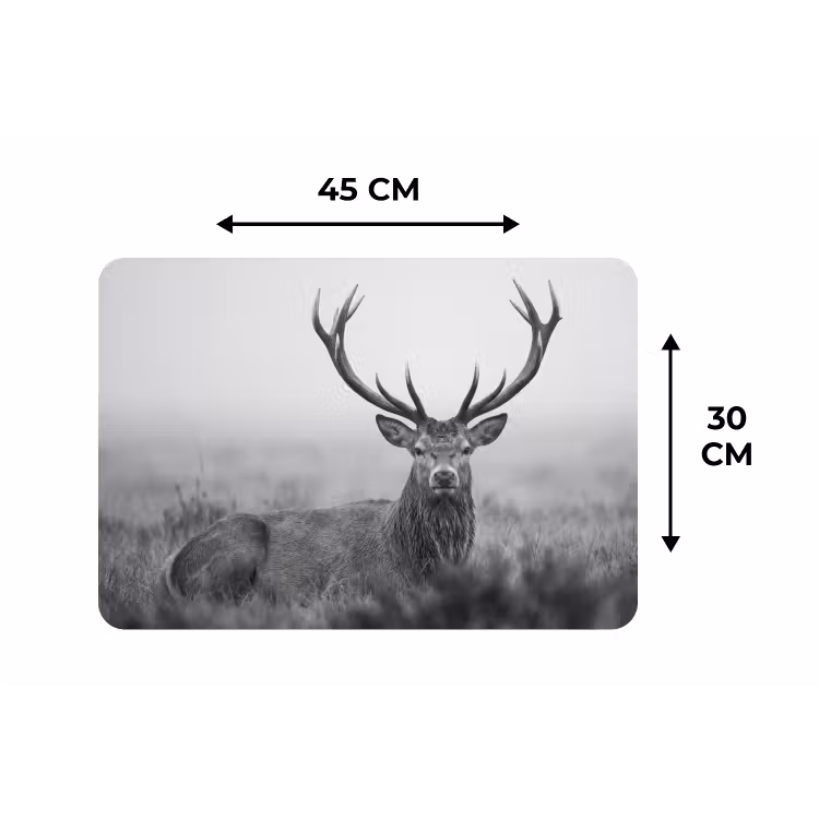 Placemat - 6 stuks - Hert - Mistig - Zwart - Wit — 3