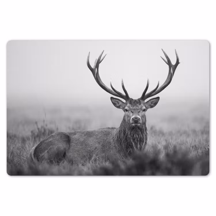 Placemat - 6 stuks - Hert - Mistig - Zwart - Wit — 7