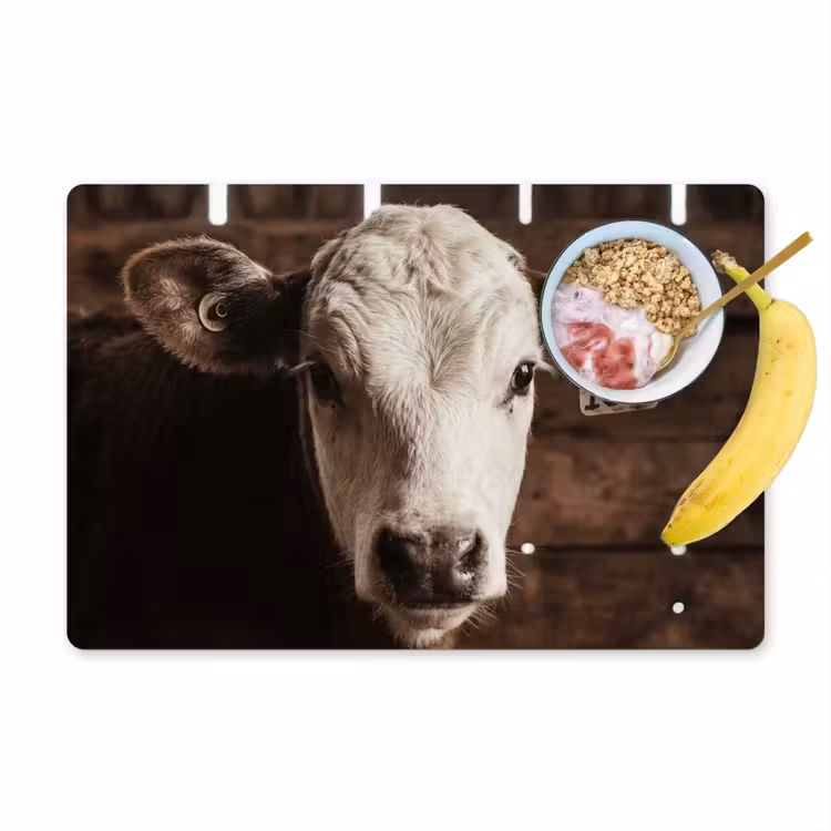 Placemat - 6 stuks - Kalf - Oormerk - Houten stal — 1