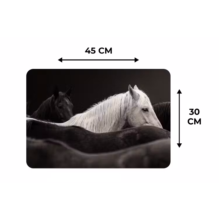 Placemat - 6 stuks - Paarden - Zwart - Wit - Kudde — 3