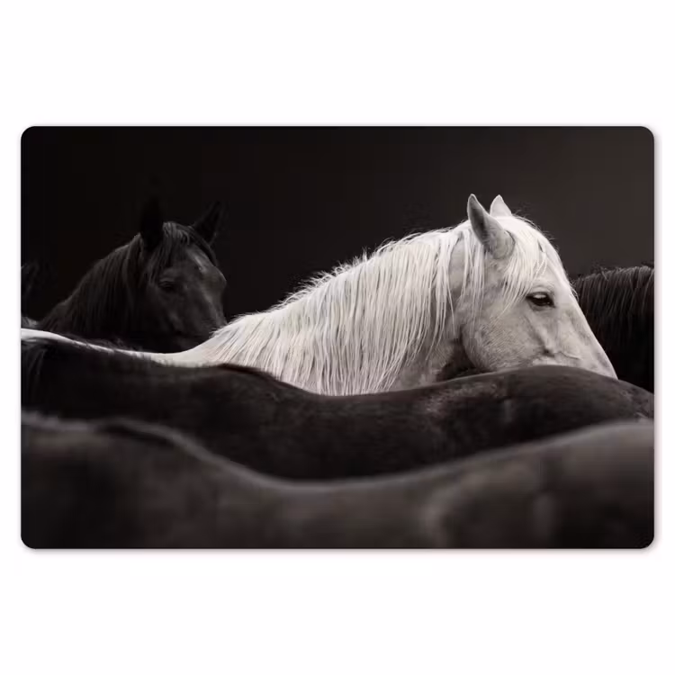 Placemat - 6 stuks - Paarden - Zwart - Wit - Kudde — 7