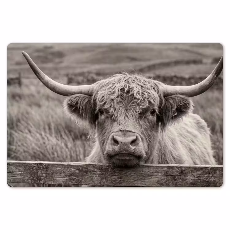 Placemat - 6 stuks - Schotse hooglander - Zwart - Wit - Hout — 7