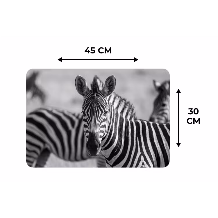 Placemat - 6 stuks - Zebra's - Zwart - Wit — 3