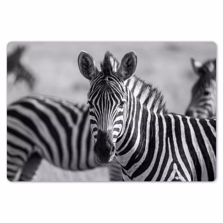 Placemat - 6 stuks - Zebra's - Zwart - Wit — 7