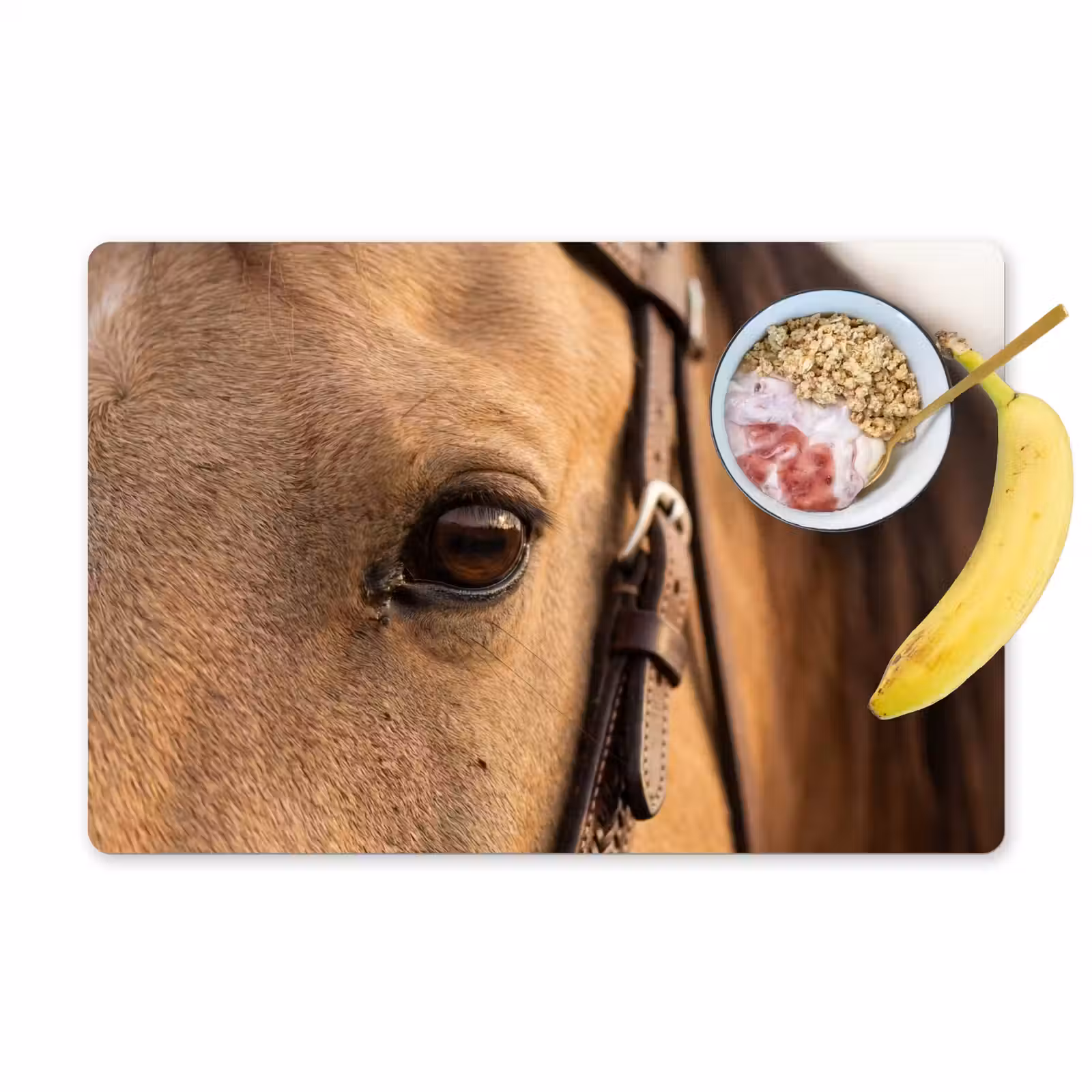 Placemat - 6 stuks - Paard - Oog - Bruin — 1
