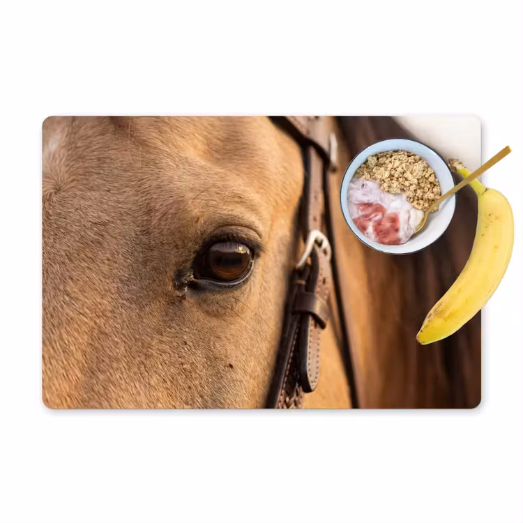 Placemat - 6 stuks - Paard - Oog - Bruin — 1