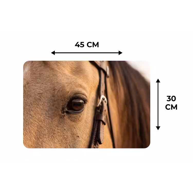 Placemat - 6 stuks - Paard - Oog - Bruin — 3