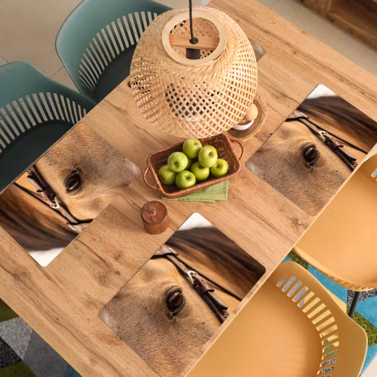 Placemat - 6 stuks - Paard - Oog - Bruin — 6