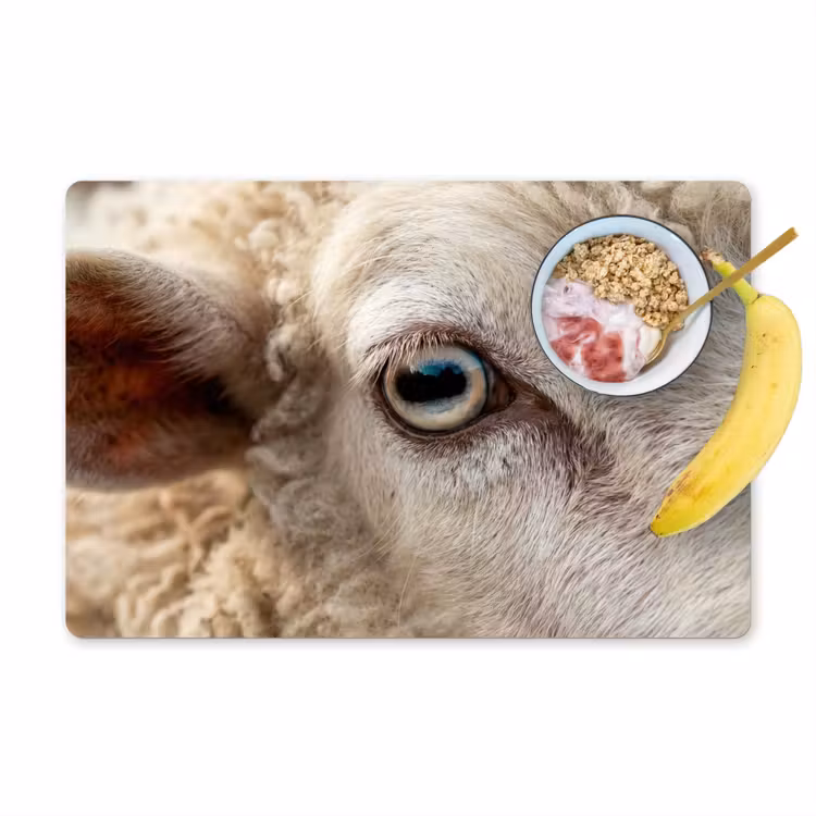 Placemat - 6 stuks - Schaap - Oog - Wit — 1