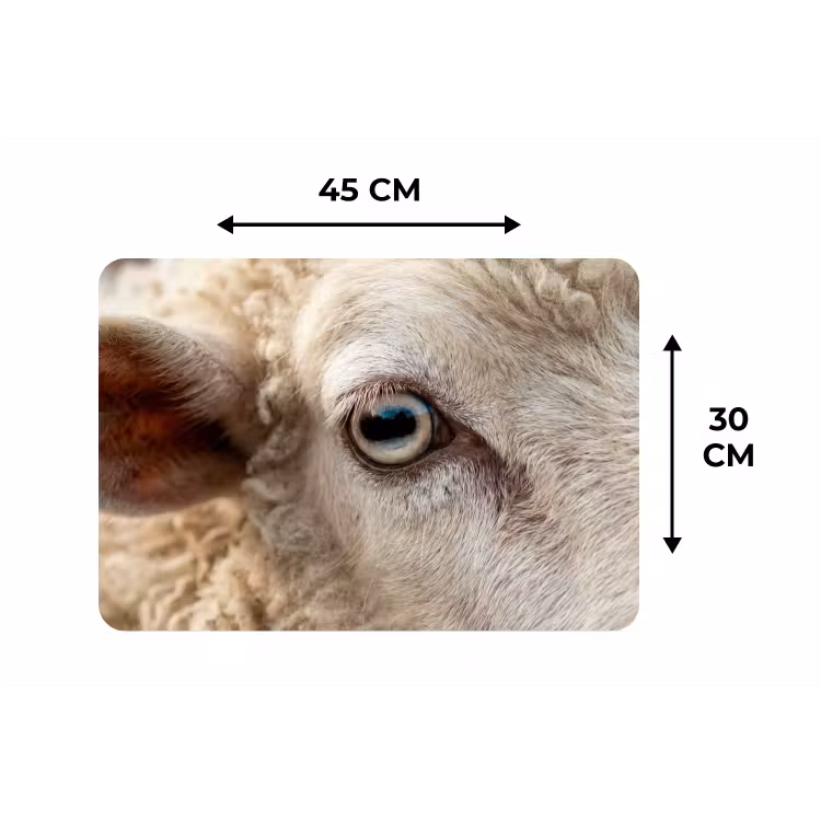 Placemat - 6 stuks - Schaap - Oog - Wit — 3